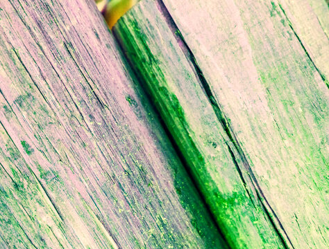 green wood texture