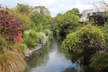 The Avon (Otakaro) river, Christchurch, New Zealand. 