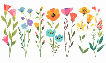 Set of flowers vector cartoon illustration in minimalism on white background, collection of flowers, group of flowers