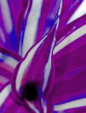 Abstract Purple Plant