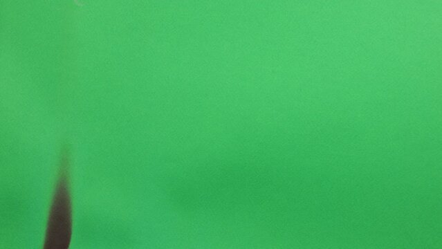 Burning green screen 4K revealing black background Easy to matte Special effect video. Green screen burning. Black behind background. Perfect nice organic transition SFX special effect easy matte