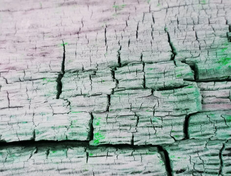 Bark texture green Tint