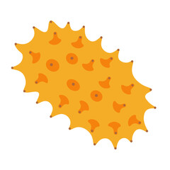 color isolated kiwano fruit in flat style in vector. image of natural healthy eco food.template for logo sticker poster print decor design