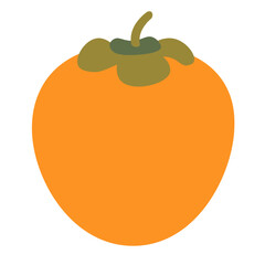 color isolated persimmon fruit in flat style in vector. image of natural healthy eco food.template for logo sticker poster print decor design