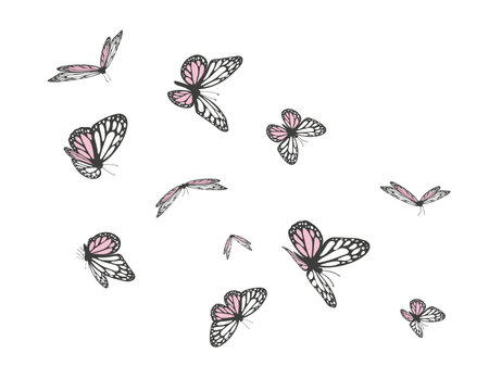 butterfly flies flock