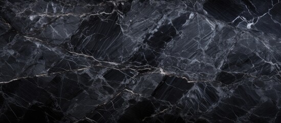 A detailed shot of a dark marble texture resembling bedrock underwater. The monochrome pattern creates a mysterious and elegant aesthetic, enhanced by the darkness and contrast