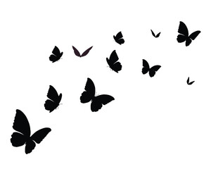Fototapeta premium decorative black monarh butterflies flowers of retro vintage style butterflies. Vector illustration design for fashion, tee, t shirt, print, poster, graphic, background butterfly