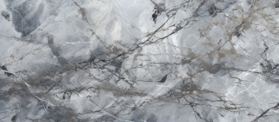 A close up of a gray marble texture resembling a natural landscape covered in freezing snow, with twigs, plants, and grass peeking through