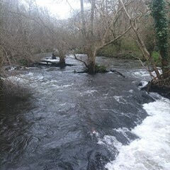 Río Mero entre Oleiros y Cambre, Galicia