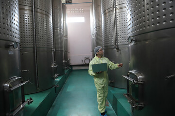 Winemaker working in modern large winery factory drink industry  and  testing wine in a wine factory warehouse - 769180947