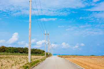 沖縄の青空と道