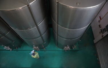 Winemaker working in modern large winery factory drink industry  and  testing wine in a wine factory warehouse - 769181399