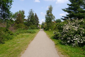 Weg im Schlossgarten Schloss Mosigkau in Dessau