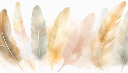 watercolor feathers on a white background