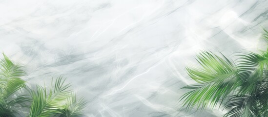 Obraz premium Lush green palm trees sway gracefully in the background of a luxurious marble wall