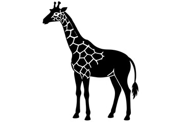 giraffe silhouette vector illustration