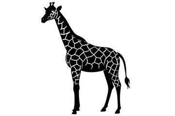 giraffe silhouette vector illustration