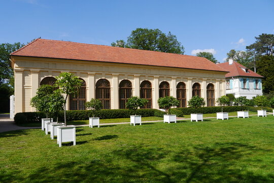 Orangerie Schlosspark Schloss Luisium in Dessau
