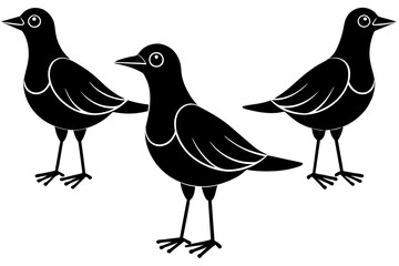 snickers bird silhouette vector illustration
