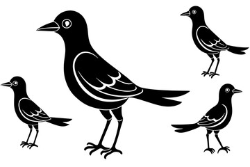 snickers bird silhouette vector illustration