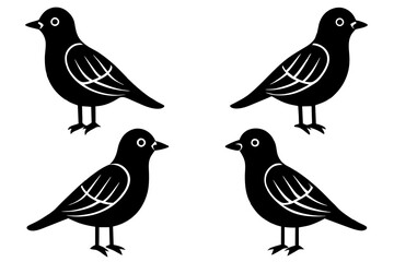 pinpin silhouette vector illustration