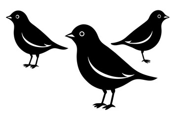 pinpin silhouette vector illustration