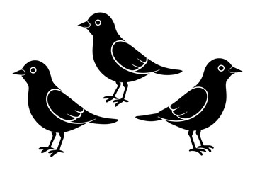 pinpin silhouette vector illustration