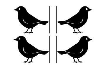 pebbles bird silhouette vector illustration 