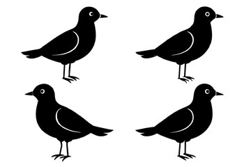 pebbles bird silhouette vector illustration 