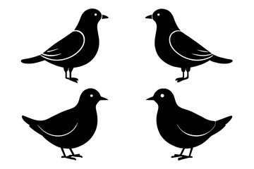 pebbles bird silhouette vector illustration 