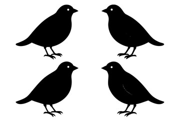 pebbles bird silhouette vector illustration 