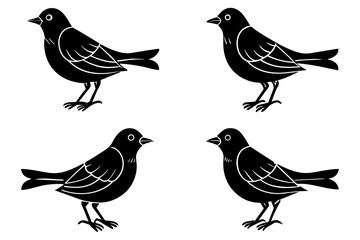 ginger bird vector silhouette vector illustration
