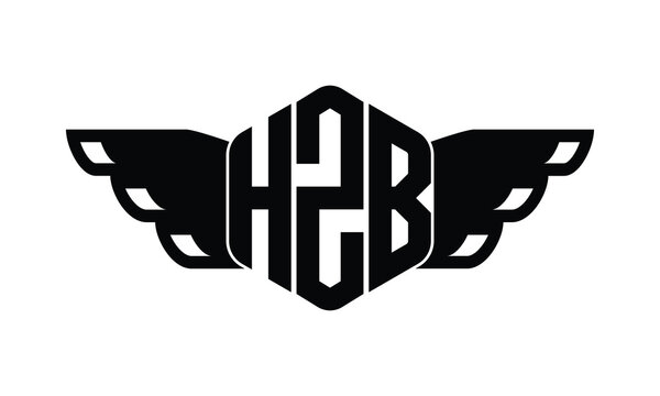 HZB polygon wings logo design vector template.