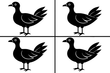 flossie bird silhouette vector illustration