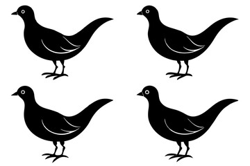 flossie bird silhouette vector illustration