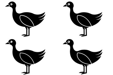 flossie bird silhouette vector illustration