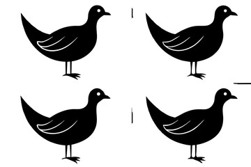 flossie bird silhouette vector illustration