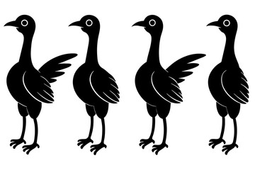 flossie bird silhouette vector illustration