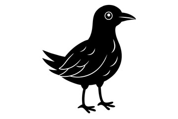 doodle  bird silhouette vector illustration