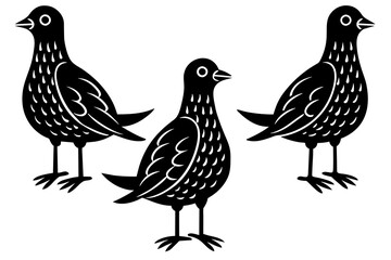 doodle  bird silhouette vector illustration