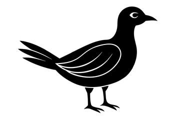 doodle  bird silhouette vector illustration