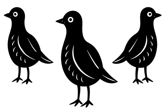 doodle  bird silhouette vector illustration