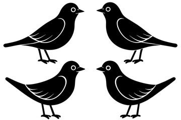 buttercup bird silhouette vector illustration