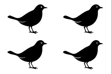buttercup bird silhouette vector illustration