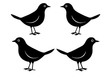 buttercup bird silhouette vector illustration