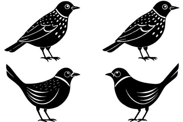 berry bird silhouette vector illustration