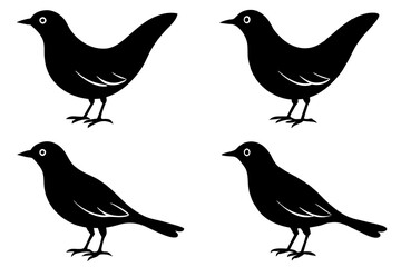 berry bird silhouette vector illustration