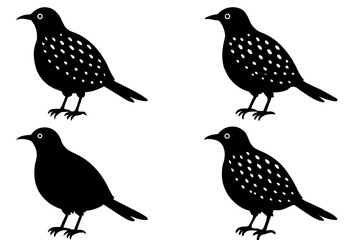 berry bird silhouette vector illustration