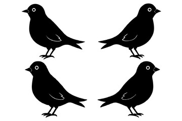 berry bird silhouette vector illustration