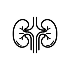 Obraz premium Kidney icon vector. kidneys vector illustration on white background